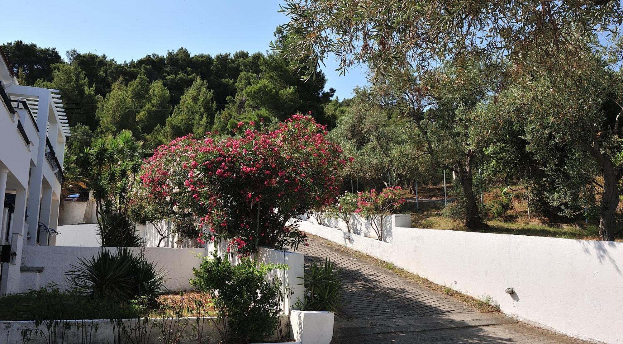 Anamar Skiathos Hotel Punta Exterior photo